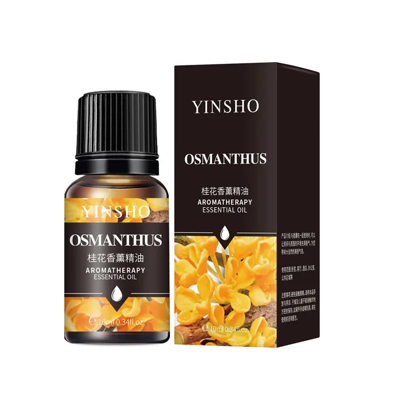 Huile Essentielle 10 ml pour Diffuseur – 17 Parfums au Choix | Aromathérapie Naturelle Maison & Bien-être